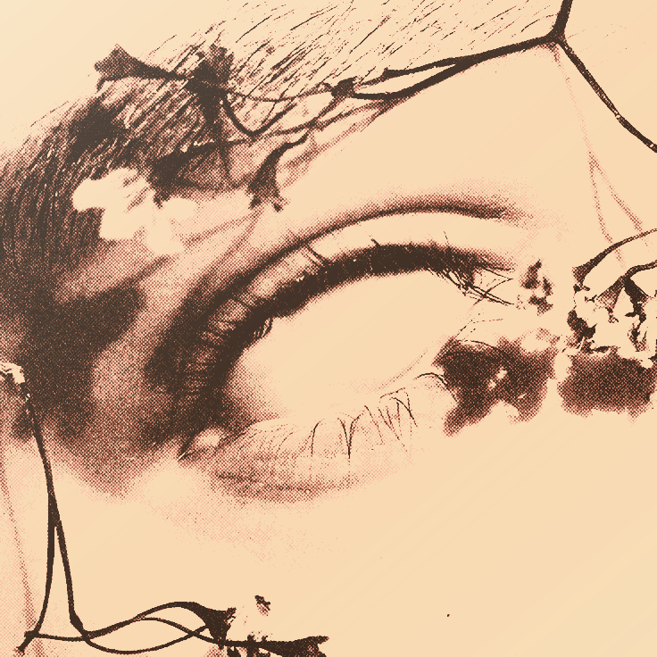 rhamnoushymn's tweet image. 