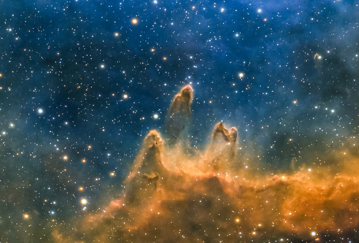 NelzAstro tweet media