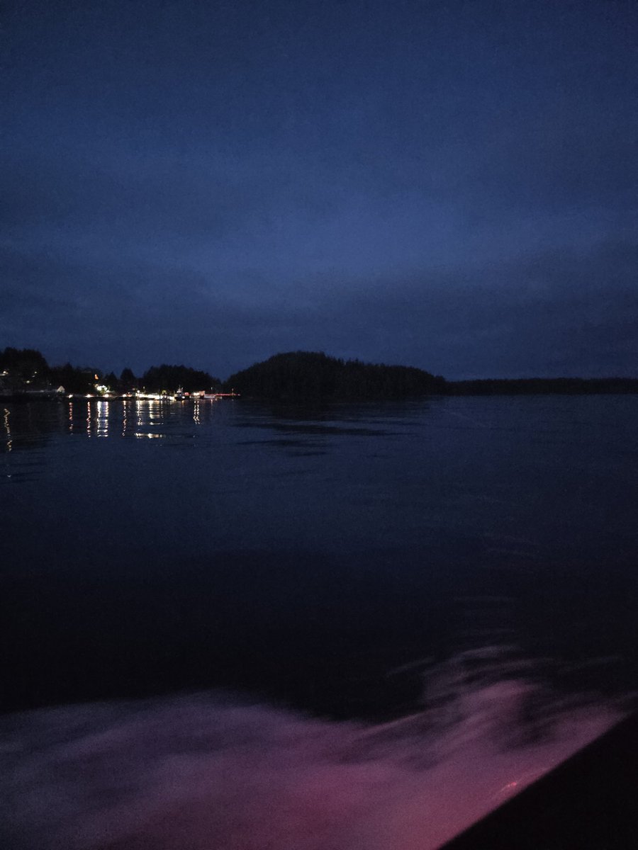 LanceStewardson's tweet image. Starting early..... #biologist problems when you don&apos;t have a &quot;field season&quot; you just have fieldwork.