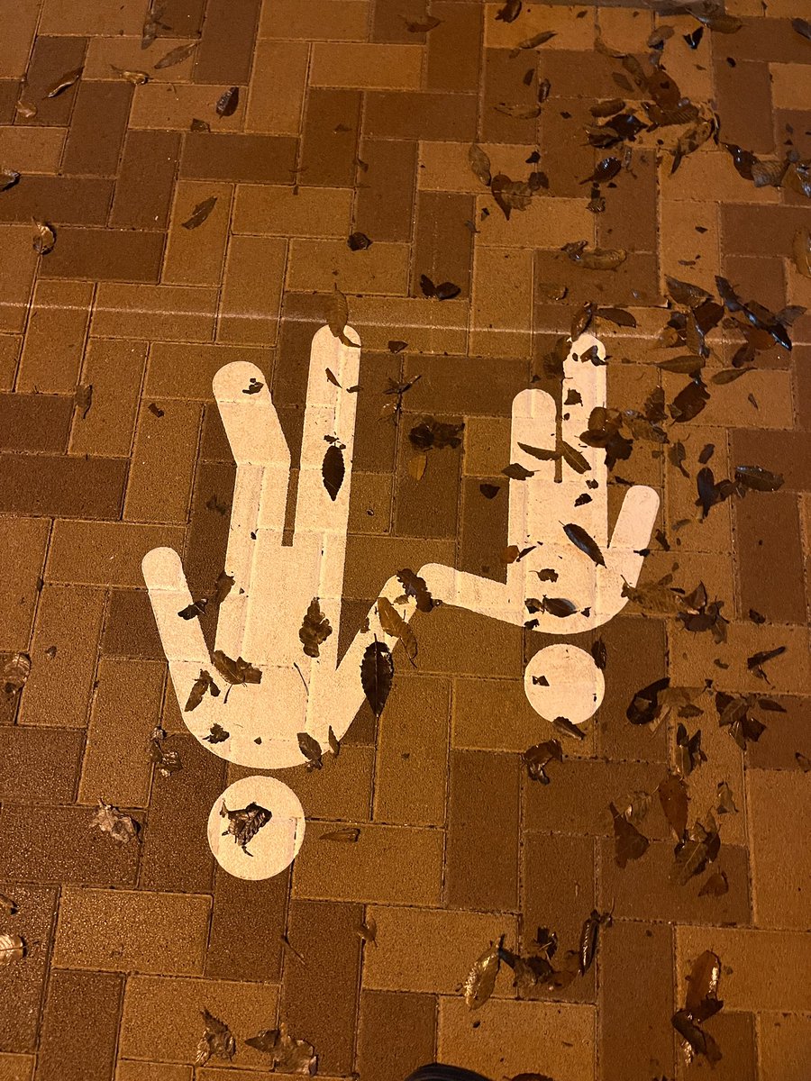 落葉に構想し、想い馳せる。