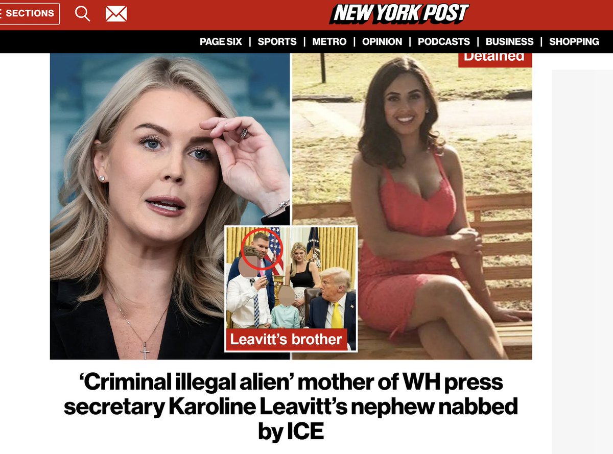 "Ferreira, who came to the United States with her family as a child, was once arrested on suspicion of battery. The result of the case was not immediately clear, but no charges against Ferreira could be located in Massachusetts’ online court records."