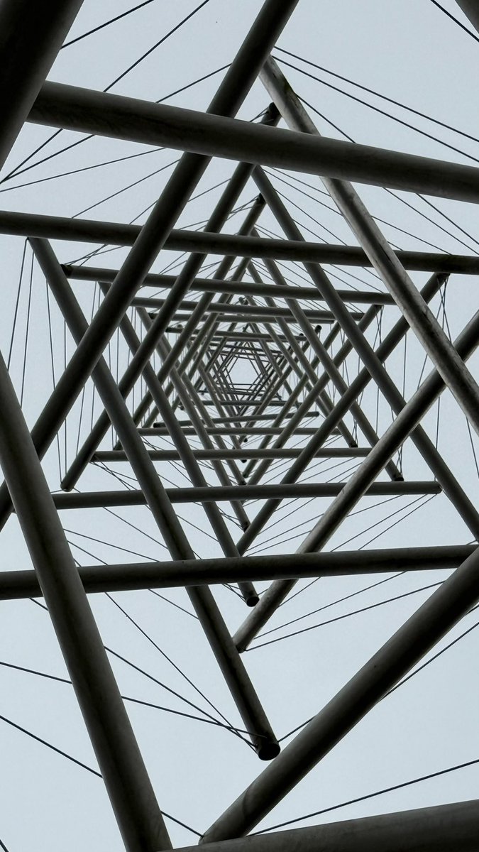 course8cheduler's tweet image. #PMJWeeklyChallenge 
@pmj_photos 
#Diagonals
Kenneth Snelson
Needle Tower
1968
Kröller-Müller Museum 🇳🇱