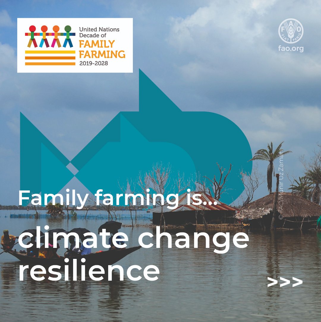 FAO Family Farming tweet media