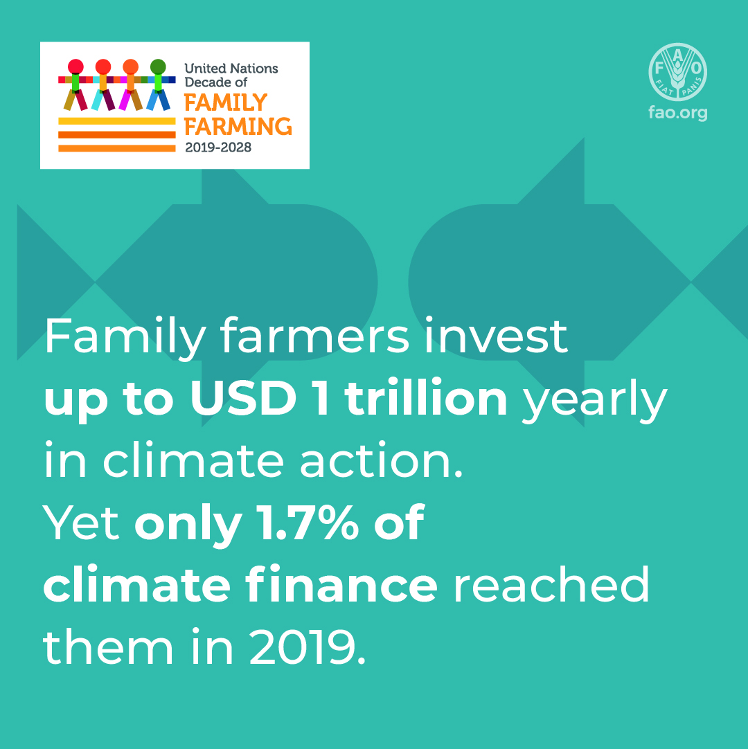 FAO Family Farming tweet media