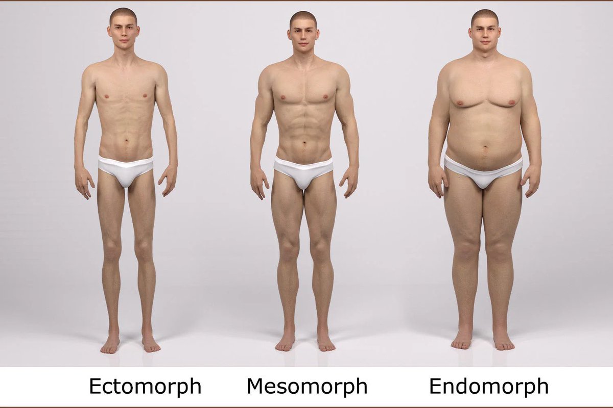 wwintercherry's tweet image. idk if this is a real thing or just pseudoscience but i&apos;m pretty sure i&apos;m a mesomorph because i build muscle really easily which is pretty cool, but it also means i have muscular arms and when they&apos;re not flexed they look very fat from the side💔