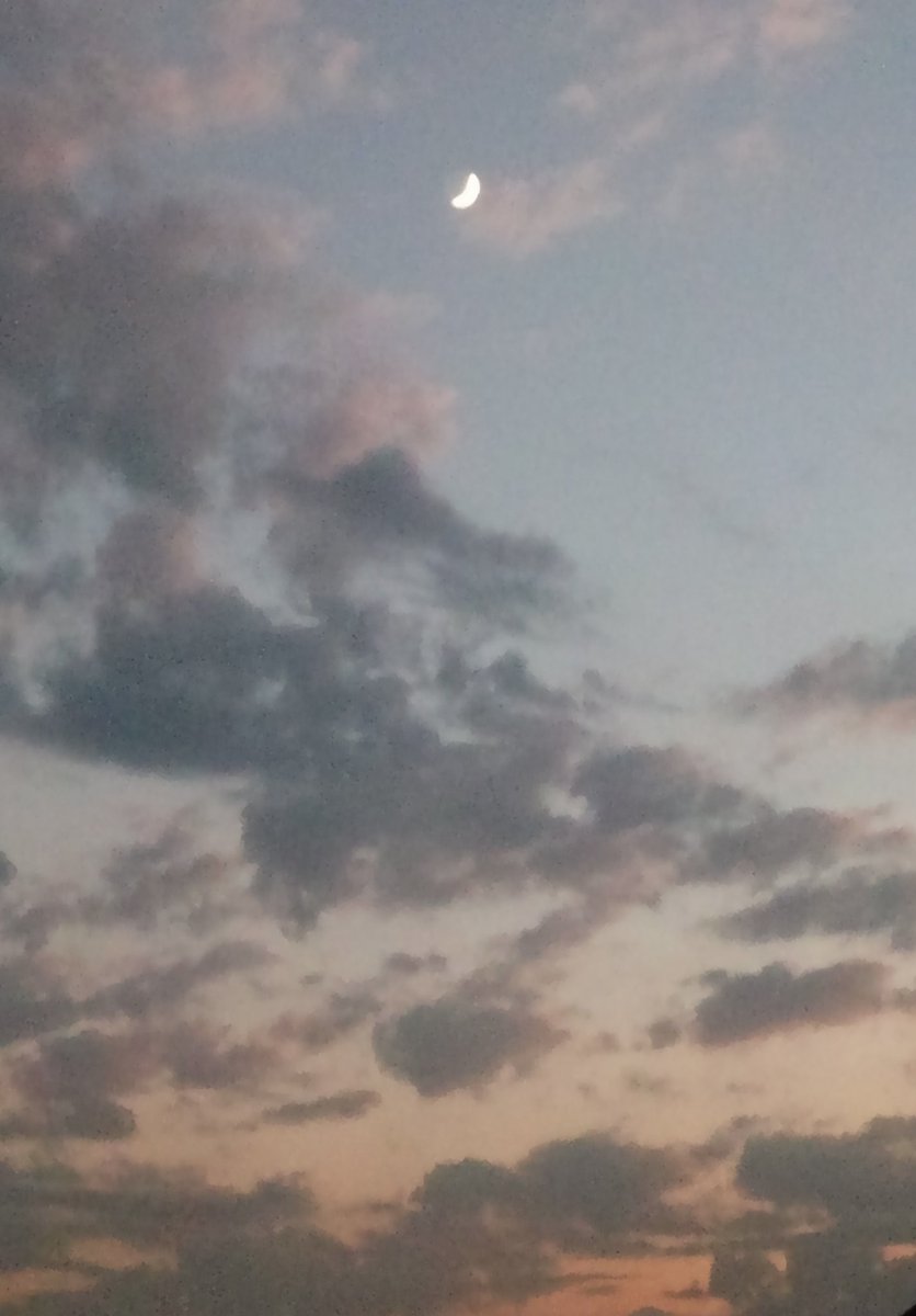 otmmoj's tweet photo. هلال شهر جُمادى الآخرة مساء هذا اليوم.

تُريني نصفَ وجهٍ وهوَ تمٌّ
وقلبي لا يميلُ إلى الهلالِ

فحين وضفتهُ بالبدرِ يوماً
رَموني بالغلوّ، ولم أُغالِ

بعدستي المتواضعة. https://t.co/GTE7raP6KI