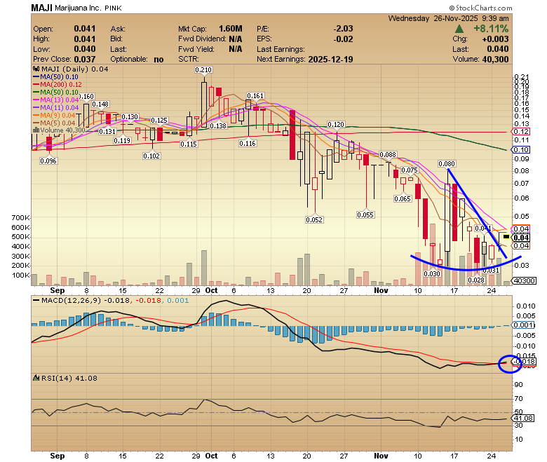 Exousia Pro $MAJI.  Took a small position in this speculative bio.  Cancer therapeutics and patented screening test for cancer.  Traded as high as 21c in October.  Downtrend looks to be broken ...