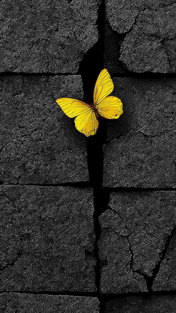 -

"قلبّي الذي تحزنه دمعة غريب
عسى أن يحفّه حنان يليق فيهِ"💛.

-