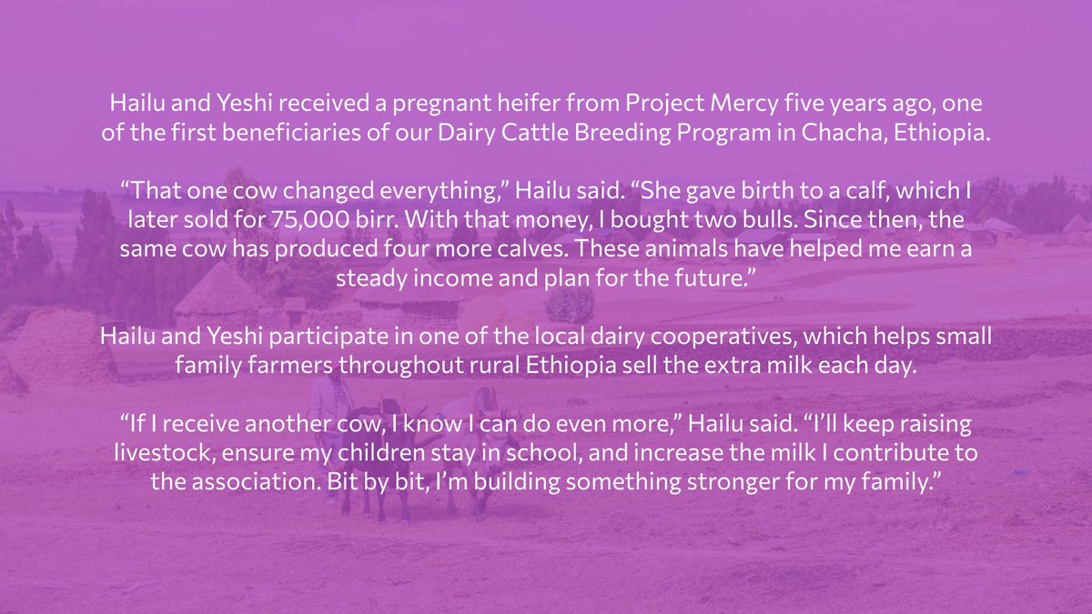 ProjectMercy's tweet image. Your gift in this #GivingSeason to our #Dairy program ensures the future prosperity for people like Hailu and Yeshi, who have turned one cow from #ProjectMercy into a thriving family farming enterprise. Double your #GivingTuesday gift's impact at projectmercy.org/donate