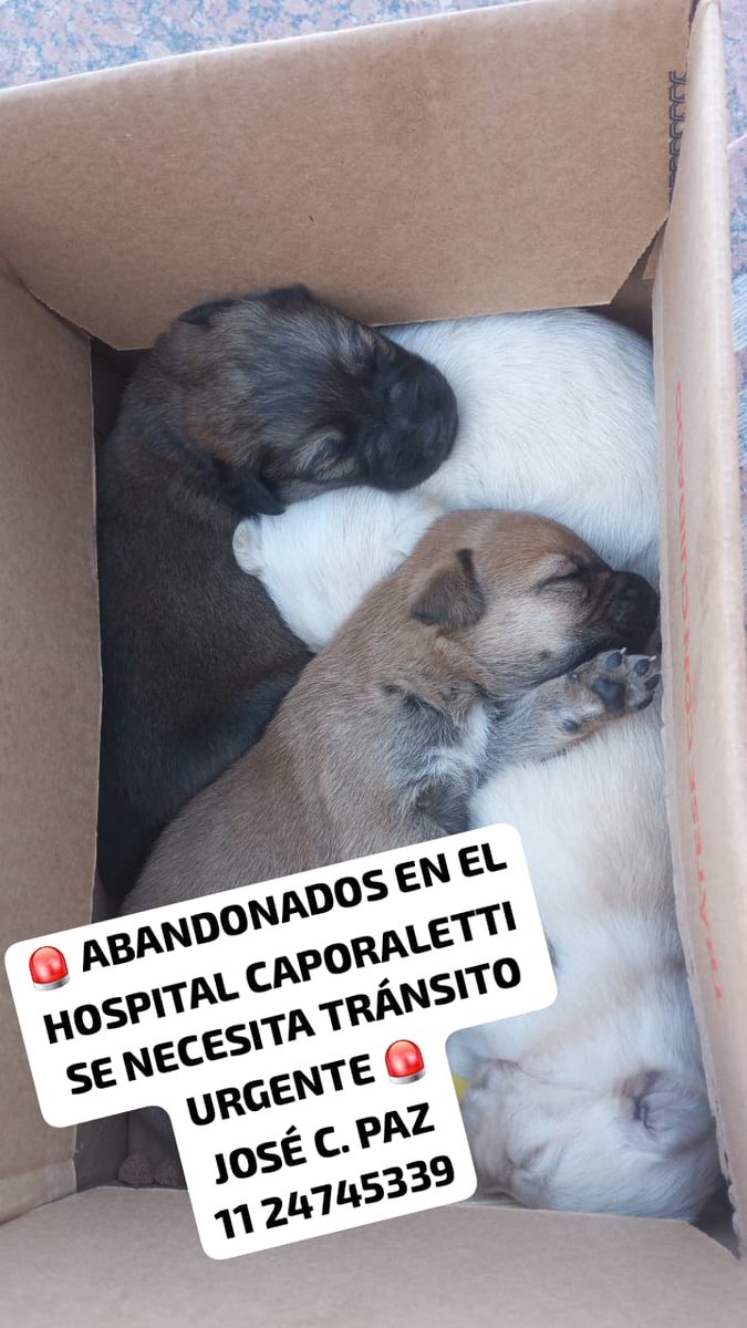 patripeyrou's tweet photo. Rt
Difundimos https://t.co/l3LAOFyN2r