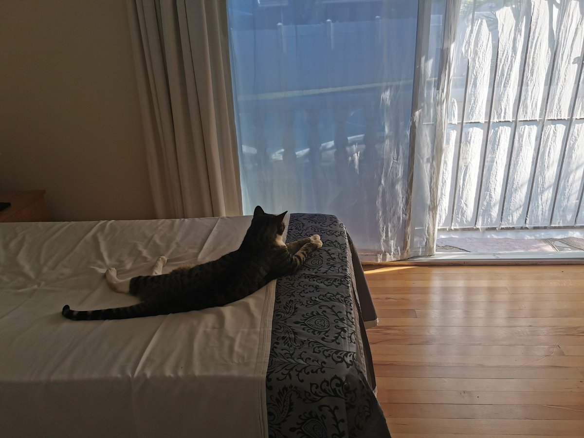 Ali Man ✝️ tweet media