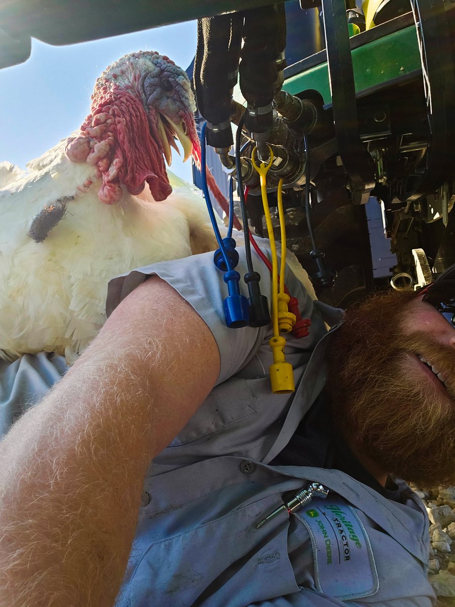 POV: You're trying to fix a tractor, but getting unsolicited gobbles of advice 🦃

Have a Happy Thanksgiving everyone!