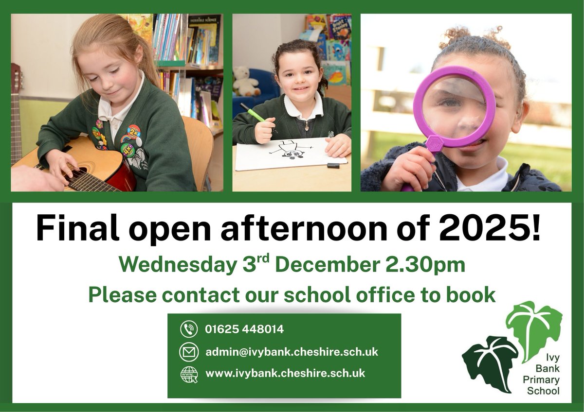 Ivy Bank Primary tweet media