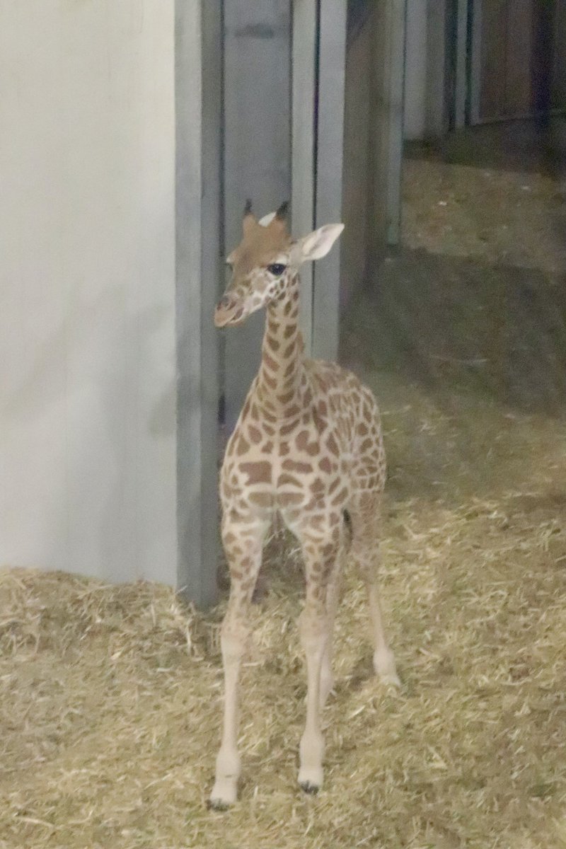 de PEYROLLE tweet media