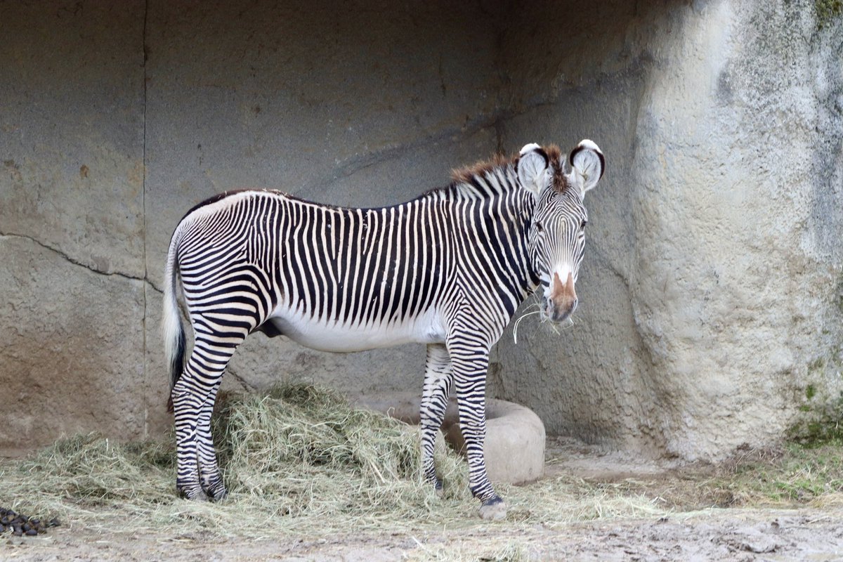 de PEYROLLE tweet media