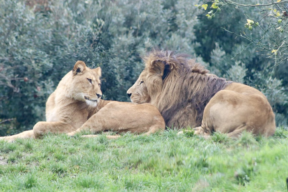 de PEYROLLE tweet media