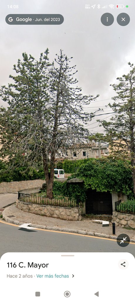 Eva___Pinardo's tweet image. Oye Pepe, y ahora ¿cómo colocamos en ese arbol las luces de Navidad?
- espera....sujétame el cubata

#feliznavidad
#lucesdenavidad
#decoracionnavideña
#tala
#Bustarviejo
@greenpeace_esp 
@ecologistas 
@IU_Madrid