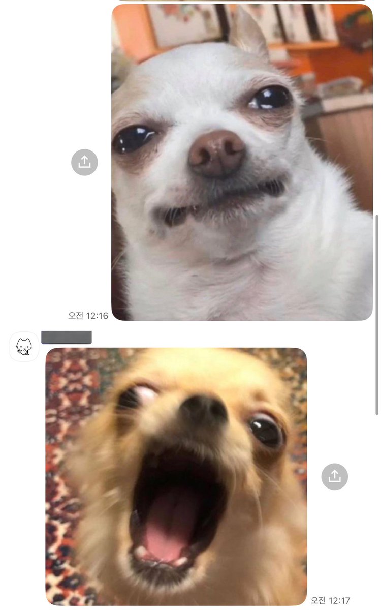 ㅇㅂㄹ뉴짤후기