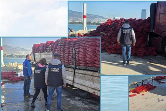 SuRehberi's tweet photo. ⏩İzmir’de 27 Ton Kaçak Midye Denize Bırakıldı !
👀 https://t.co/hm7F9JWfbr
#surehberi #suürünleri #midye #aquaculture #mussel https://t.co/0nDed5gtkH
