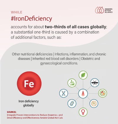 Jhpiego's tweet image. As the world spotlights #IronDeficiencyDay, the Anaemia Action Alliance is seizing this day to issue an urgent call. Take #IronDeficiency seriously and pursue integrated action. For more information on our integrated approach, visit: anaemiaalliance.who.int/about-anaemia/…