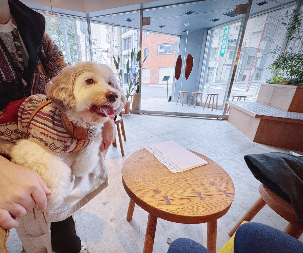 ShinokiDesign's tweet image. 松戸駅徒歩3分、先日オープンしたばかりの
Flow&apos;s coffeeさんに行ってきました🐾

なんとワンちゃん店内ok！🐶
入り口近くの席のみですが、
冬にワンちゃんokは有難いです🥹🫶🏻

📍松戸駅
☕️ Flow&apos;s coffee