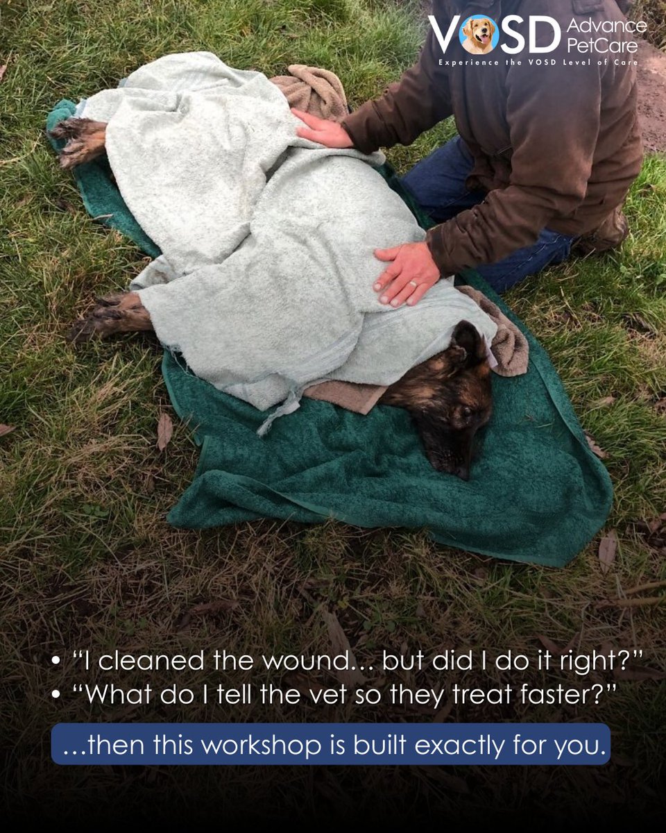 VOSD1's tweet image. Rescuers, feeders, fosters, volunteers — the work you do holds up an entire community. This workshop is designed to support you with practical skills that make your rescues safer and more effective.

Don’t miss this. Register today: forms.gle/GceFar4nB85NoA…