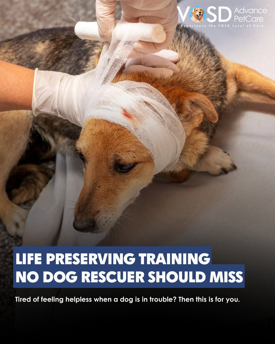 VOSD1's tweet image. Rescuers, feeders, fosters, volunteers — the work you do holds up an entire community. This workshop is designed to support you with practical skills that make your rescues safer and more effective.

Don’t miss this. Register today: forms.gle/GceFar4nB85NoA…