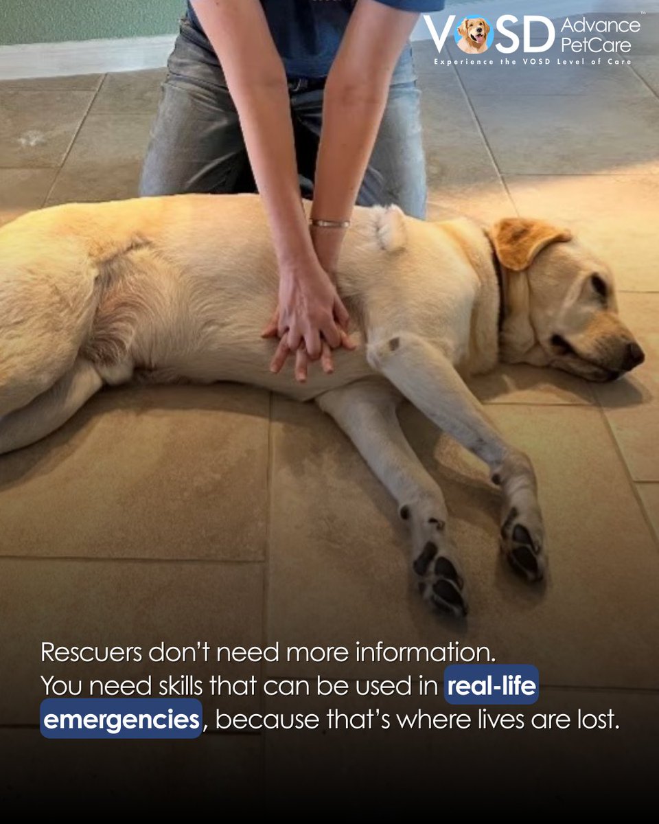 VOSD1's tweet image. Rescuers, feeders, fosters, volunteers — the work you do holds up an entire community. This workshop is designed to support you with practical skills that make your rescues safer and more effective.

Don’t miss this. Register today: forms.gle/GceFar4nB85NoA…