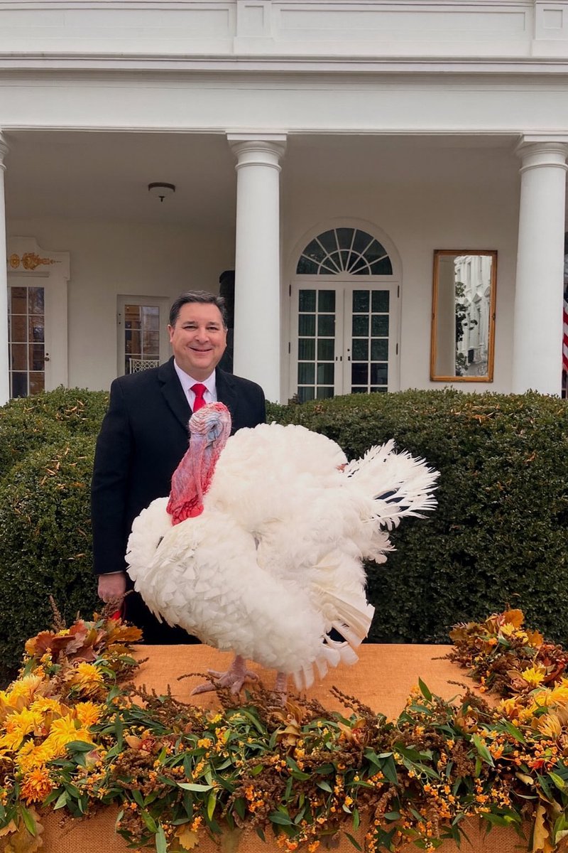 RepDavidRouzer's tweet image. Fun to witness a great North Carolinian receive his pardon today. Congratulations Gobble! The National Thanksgiving Turkey Pardoning Ceremony at the White House continues to offer our country a moment of light-hearted tradition before the Thanksgiving holiday!