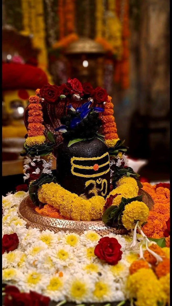 ipinkushukla's tweet image. जय महाकाल....!