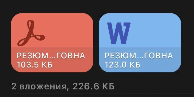 Твоё резюме, когда ты женщина, и твой папа — Олег