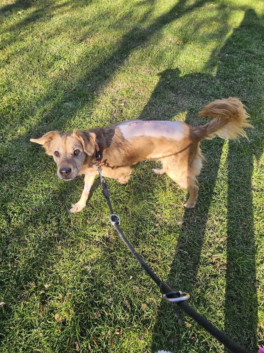 Ya la tengo conmigo
La más fuerte ❤️
Gracias de nuevo a todos por toda la ayuda, de verdad