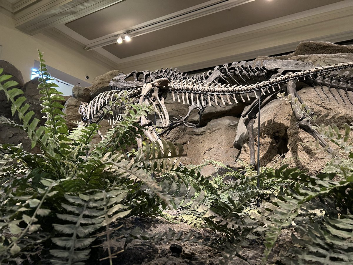 Taylor McCoy 🦖 tweet media