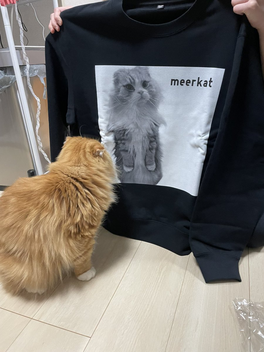 ミーアキャット、服になった笑