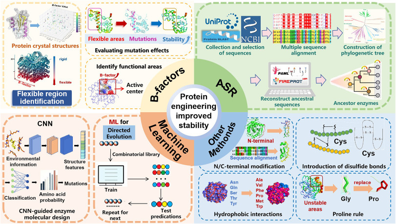 BioDesignR's tweet photo. Recent review covers enzyme engineering advances for solvent & thermostability, using B-factors, ancestral methods & machine learning. #EnzymeEngineering #Biocatalysts
Details: https://t.co/vwa4XkGo6a https://t.co/08bwIK8rS4