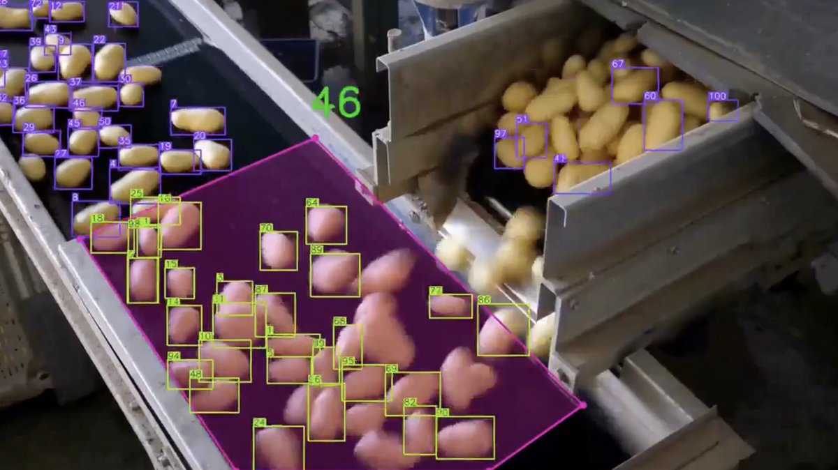 VeriSynthAI's tweet image. AI just learned to count potatoes using a single training image! 🥔🤖 A senior engineer built a tiny vision system with simple tools, no giant datasets or fancy hardware. #AgriTech #AI #MachineVision