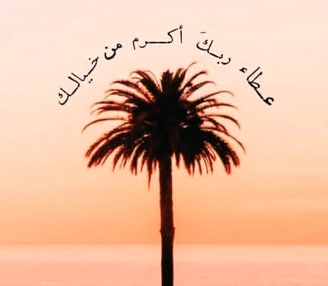 اللهم إنا نسألُك العافيه في الدنيا والآخره اللهم إنا نسألك العفو والعافيه في دينا ودنيانا وأهلنا ومالنا اللهم استر عورتنا وآمن روعاتنا اللهم احفظنا من بين أيدينا ومن خلفنا وعن يميننا وعن شمائلنا ومن فوقنا ونعوذ بعظمتك أن نغتال من تحتنا❤️