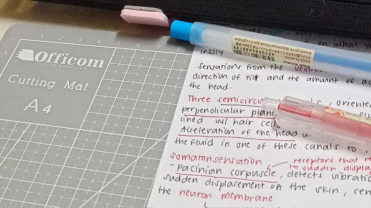 yoichifiles's tweet image. ᯓ★ 11.26.25 study log ᶻ 𝗓 𐰁

me and physio 🥊🥊 studied physio the whole day and I&apos;m cooked af. I need to study even harder bc I swear I&apos;ll forget them tom. I did try to read a few infos for the next chap and I will continue it tom

[#studytwt #studytwtph #archivetwt]