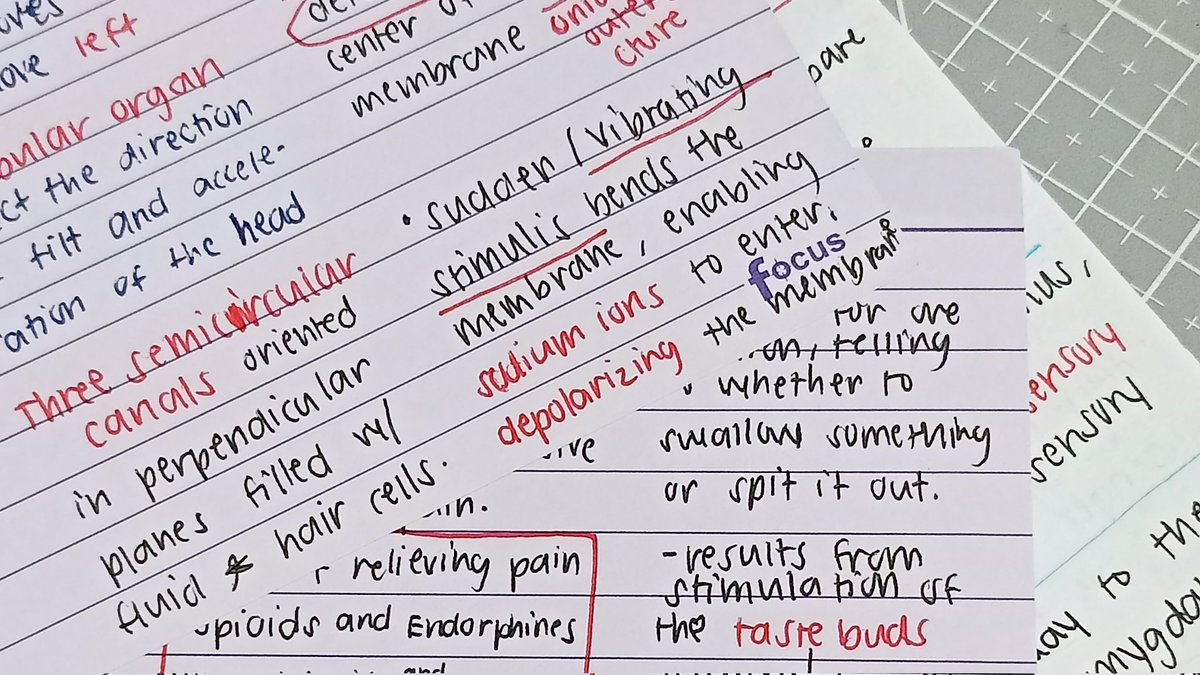 yoichifiles's tweet image. ᯓ★ 11.26.25 study log ᶻ 𝗓 𐰁

me and physio 🥊🥊 studied physio the whole day and I&apos;m cooked af. I need to study even harder bc I swear I&apos;ll forget them tom. I did try to read a few infos for the next chap and I will continue it tom

[#studytwt #studytwtph #archivetwt]
