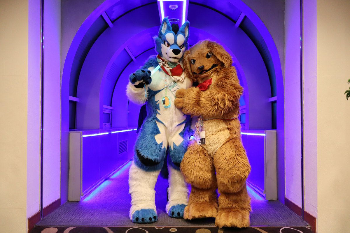 Mongfell's tweet image. 💙🤎

#FurstClass
#FurstClass2025