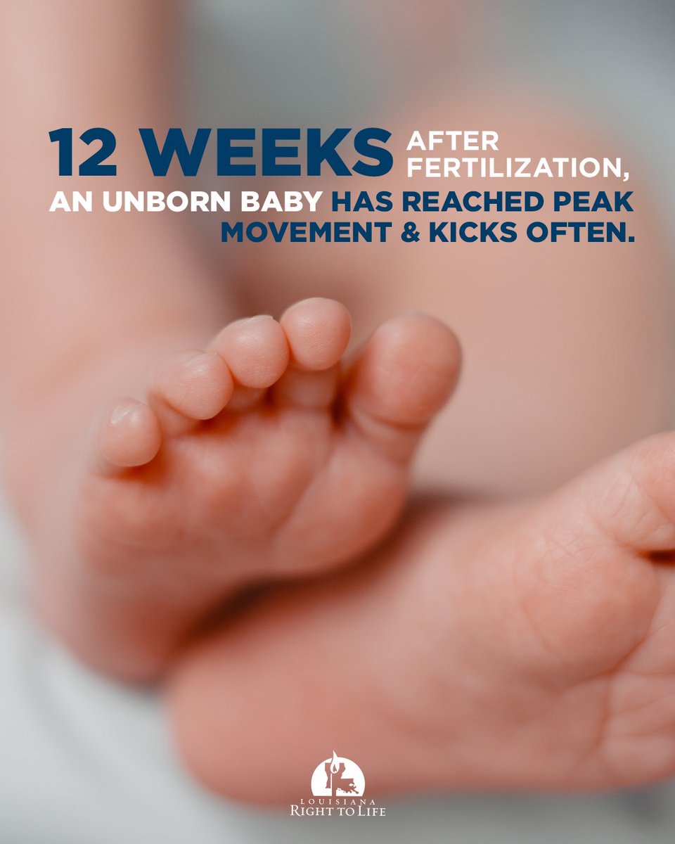 Life is active. Life is real. Life is worth protecting.