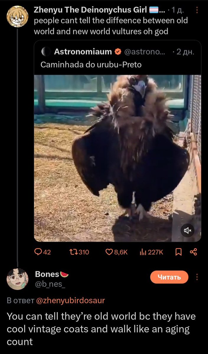 стервятник
#двк