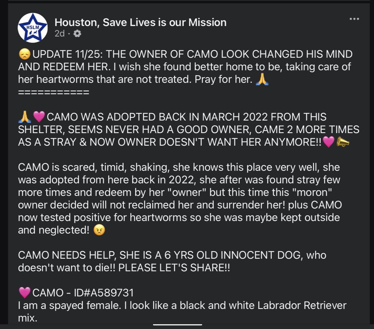 CAMO was RTO
<a href="/TXGoddessAlethe/">Goddess Aletheia 🇺🇸</a> 
<a href="/AnnField231917/">AnnField</a> 
<a href="/then_maude/">BigTech Bish</a> 
<a href="/Apocalypse_Skr1/">Donati</a> 
<a href="/BasqueDancer/">Basque dancer</a> 
<a href="/SusanWilby3/">Suzanne Wiloughby</a> 
<a href="/lincoln_chew/">GL Chew</a> 
<a href="/mydoxienme/">i❤dachshunds</a> 
<a href="/LaurieMerg71604/">Laurie mergler</a> 
<a href="/LilacMoon_8/">Moby=Love</a> 
<a href="/creaneypatricia/">Patricia Creaney</a> 
<a href="/WeYanni289/">WYan</a> 
<a href="/CichConsta37143/">Cjc</a> 
<a href="/Ecoeshop1/">Ecoeshop</a>