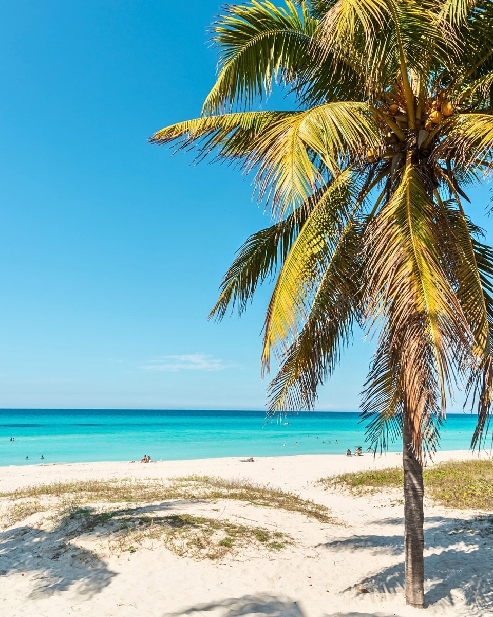Travel_Fab's tweet image. Come to Cuba, feel the breeze and forget your worries… 🧳✈️🏖️
.
.
.
#travelling #travelgram #holidays #instatravel #adventure #traveladdict
