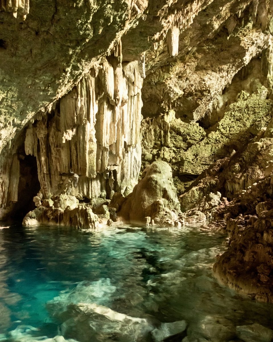 Travel_Fab's tweet image. Come to Cuba, feel the breeze and forget your worries… 🧳✈️🏖️
.
.
.
#travelling #travelgram #holidays #instatravel #adventure #traveladdict