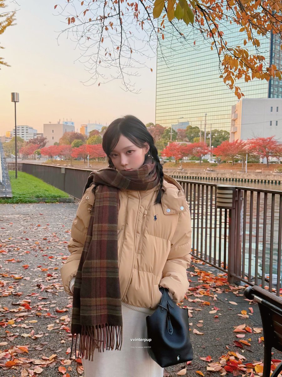 겨울 tweet media