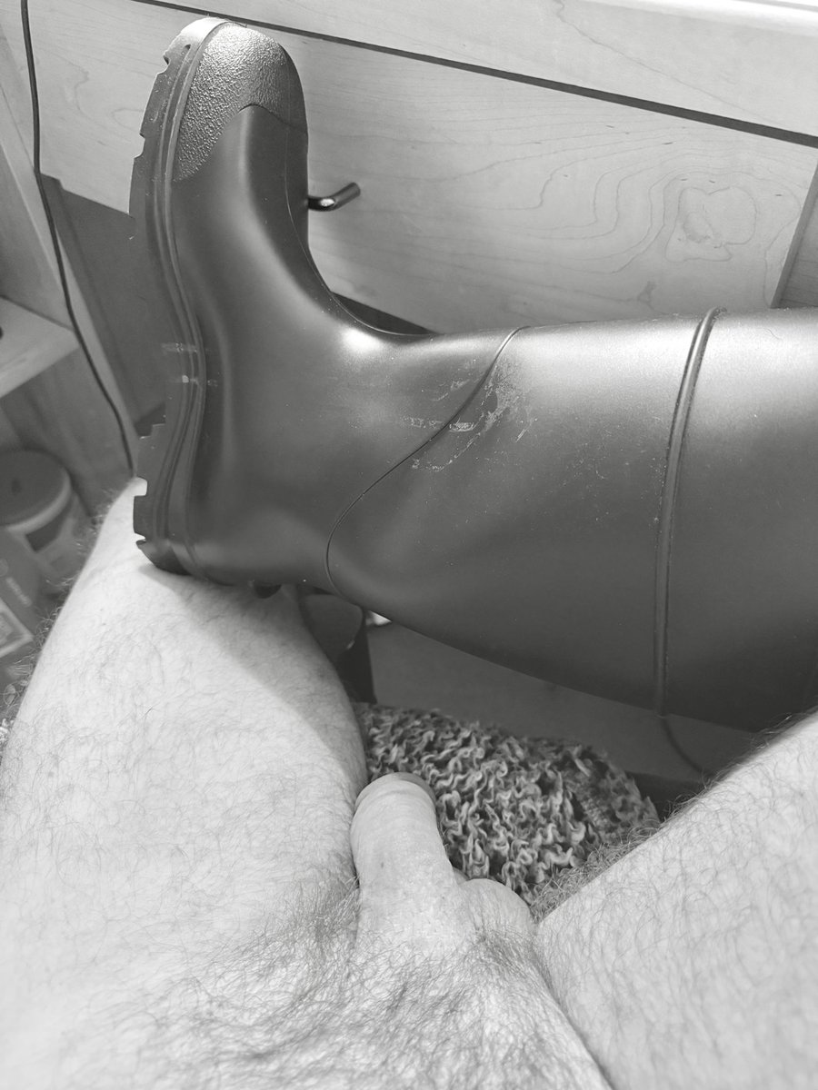 PupTAG (@itag41) on Twitter photo 