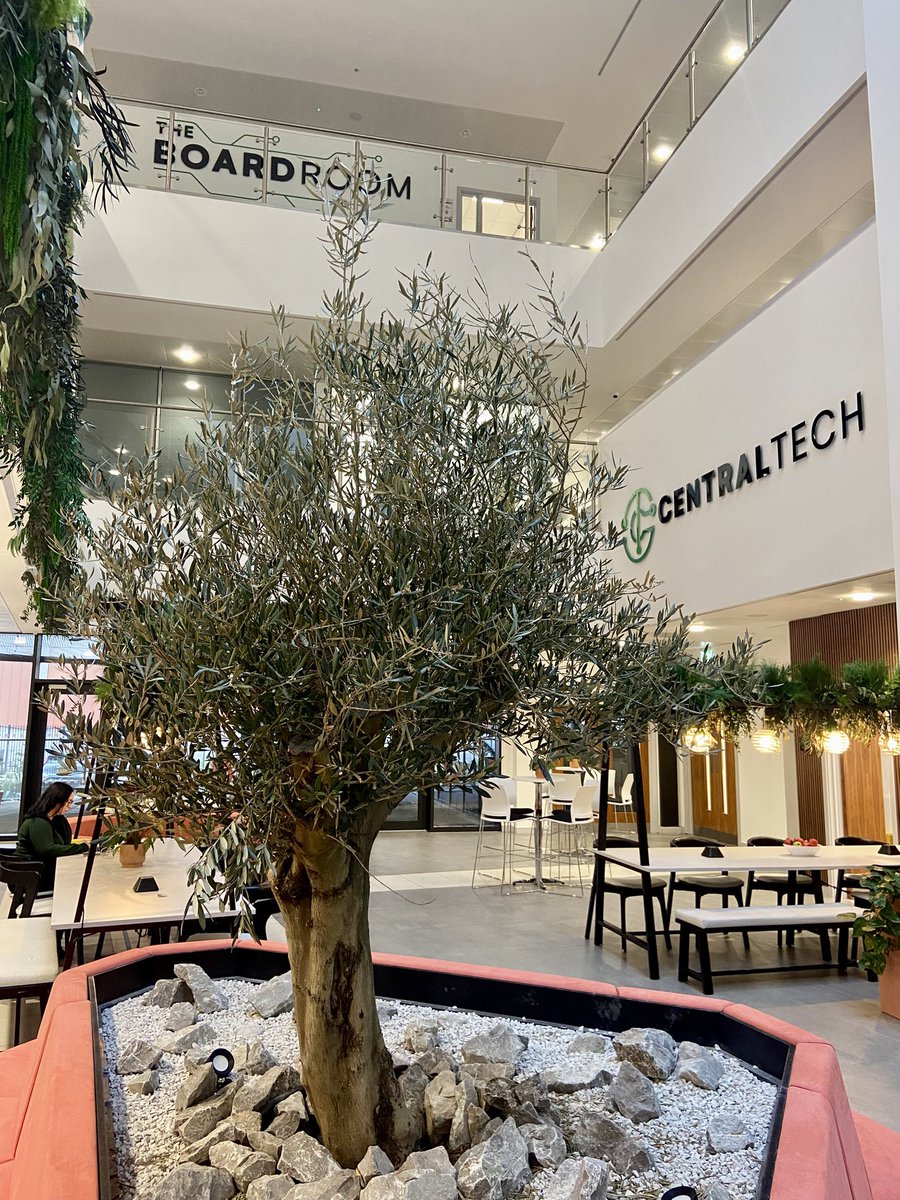 Sciontec Developments Limited tweet media