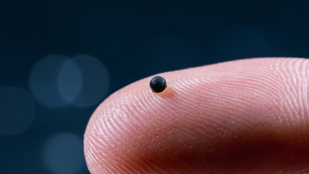 shashinetwork's tweet image. #AGoodRead #Microrobots may soon deliver crucial stroke #medication
- Researchers have made magnetically guided micro-robots that could one day navigate the body’s blood vessels and deliver critical drugs during strokes
connectsci.au/news/news-pare…