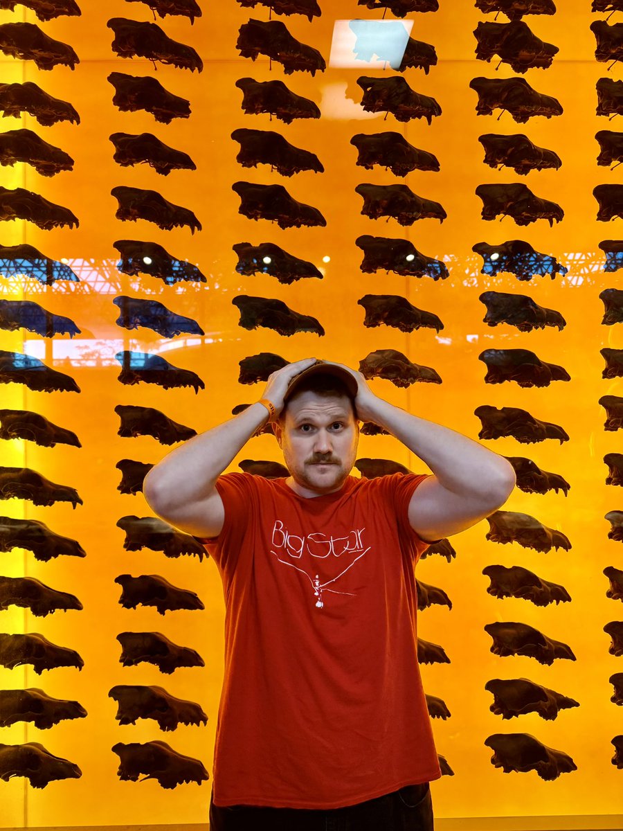 phantom_threadz's tweet image. Contemplating my mortality in front of 404 dire wolf skulls. Or maybe just fixing my hat.